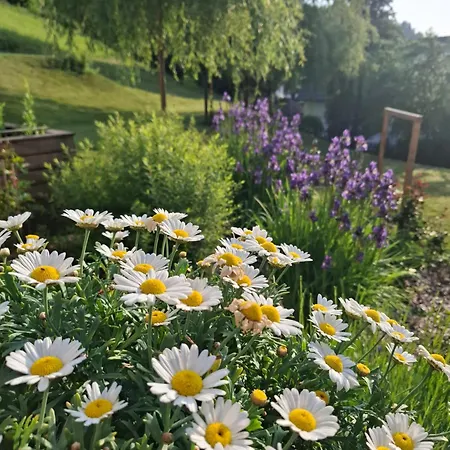 Hisa Poljana B&B Prevalje
