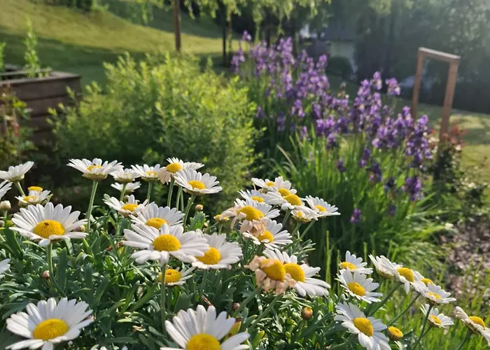 Hisa Poljana Bed and Breakfast Prevalje