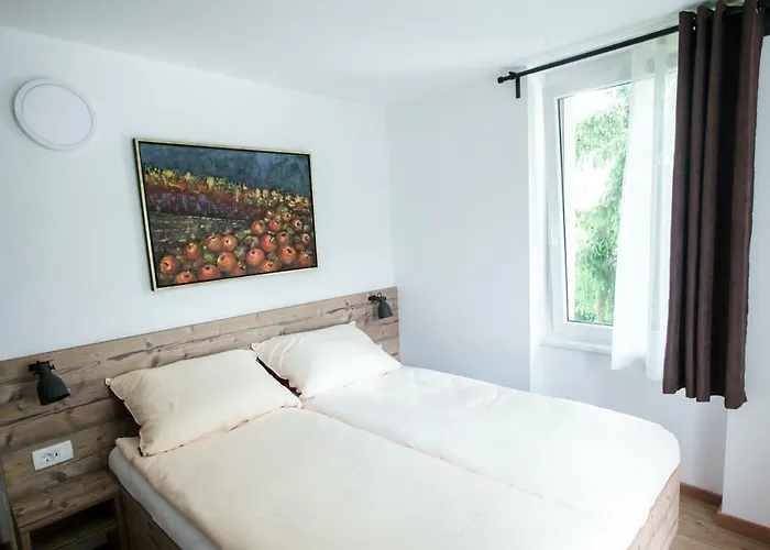 Bed and Breakfast Hisa Poljana Prevalje